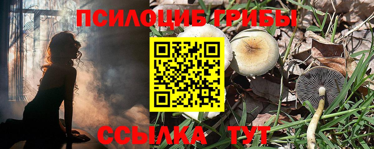 Галлюциногенные грибы прущие грибы  Галлюциногенные грибы Psilocybe  продажа наркотиков  Кропоткин  Вход с VPN 