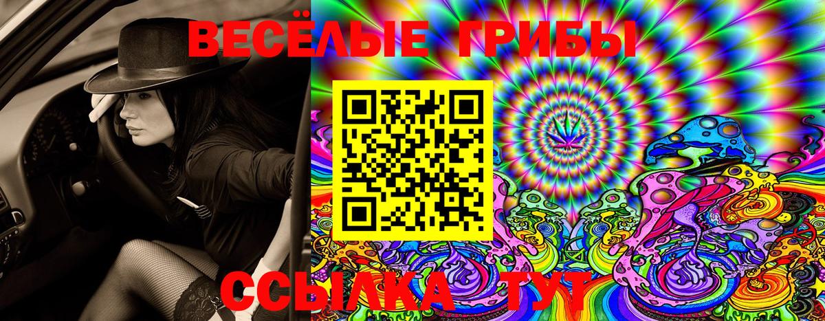 Псилоцибиновые грибы Psilocybe Кропоткин